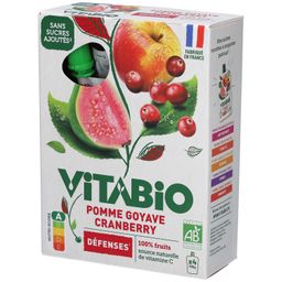 VITABIO gourde de fruits Pomme Goyave Cranberry 4x100g