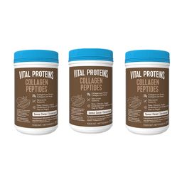 Vital Proteins Collagen Peptides Saveur Cacao