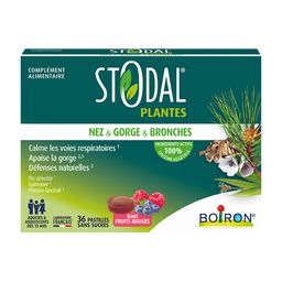 Boiron Stodal Plantes Pastilles nez, gorge & bronches Fruits Rouges