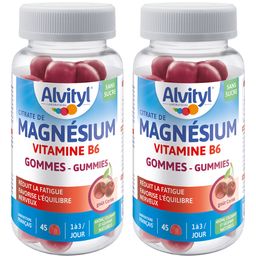 ALVITYL Magnésium Vitamine B6 Gommes Cerise