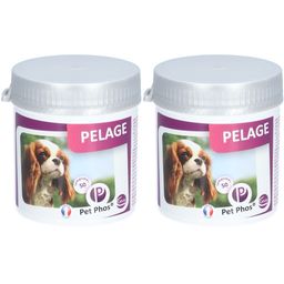 Pet Phos® Pelage chien