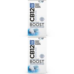 CB12 - BOOST - Gommes à macher - Haleine Fraîche en toutes situations - Contient du zinc et du fluor - Compléments alimentaires avec édulcorants - Menthe Forte - 10 gommes à macher