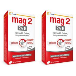 MAG 2 - 24H - Complément alimentaire à base de magnésium, vitamine B6 et B12 - Anti-nervosité et anti-fatigue - Programme de 40 jours - 40 comprimés libération prolongée