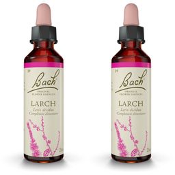Fleurs de Bach® Larch