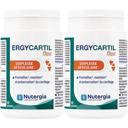 Nutergia Ergycartil Flex