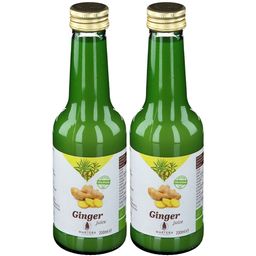 Martera Jus de Gingembre Bio