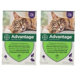 Advantage 80 pour chat et lapin