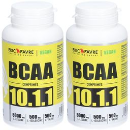 ERIC FAVRE BCAA 10.1.1