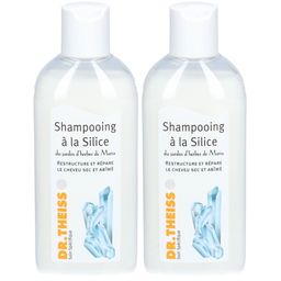 DR THEISS Shampoing à la Silice
