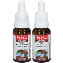 Fleurs de Bach Animaux Gouttes Agressivité