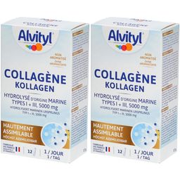 Alvityl® Collagène hydrolysé de type I & III 5000mg