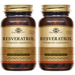Solgar Resveratrol – Extrait de Polygonum cuspidatum 100 mg