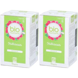 Bio Nutrisanté Hibiscus Draineur Infusion