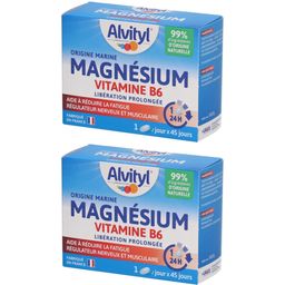 Alvityl Magnésium Vitamine B6