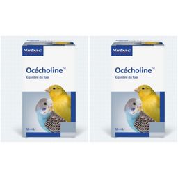 VIRBAX Océcholine