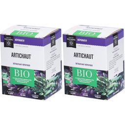 DAYANG Artichaut BIO