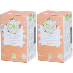 Nutrisanté Bio Infusion Froide Saveur Mangue-Pêche Digestion
