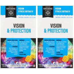 DAYANG Vision & Protection