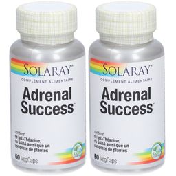 SOLARAY Adrenal Succes