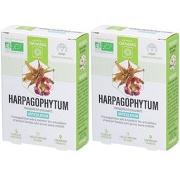 DAYANG Harpagophytum BIO