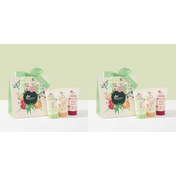 Fleurance Nature Trio Gels Douche