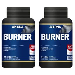 APURNA Burner