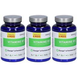 Granions Vitamine B12 Méthylcobalamine 1200 µg