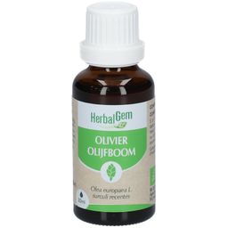 HERBALGEM - Olivier Bio - Complément Alimentaire  - Extrait De Bourgeon Frais - Pour Circulation Sanguine - 30 ml