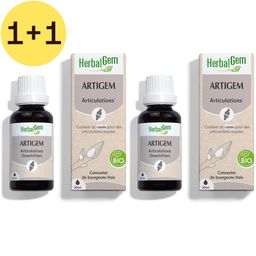 HerbalGem Artigem Bio x2