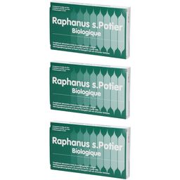 Raphanus s.Potier