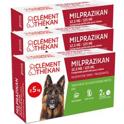 Clement Thekan Traitement Des Vers Plats Et Ronds Chien