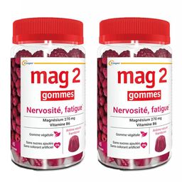 Mag 2 Gommes Framboise - Nervosité et Fatigue