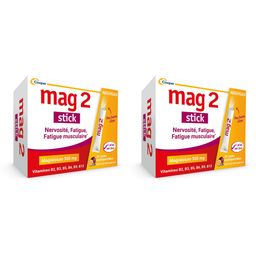 Mag 2 Stick Nervosité, Fatigue, Fatigue Musculaire Poudre orodispersible