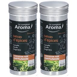 Le Comptoir Aroma Composition pour Diffusion Délices d'épices