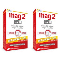 MAG 2 - 24H - MAXI PACK PROMO 4 MOIS - Complément alimentaire à base de magnésium, vitamine B6 et B12 - Anti-nervosité et anti-fatigue - 3+1 mois offert - Programme de 120 jours - 120 comprimés libération prolongée