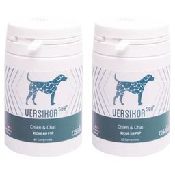 Versikor 500®