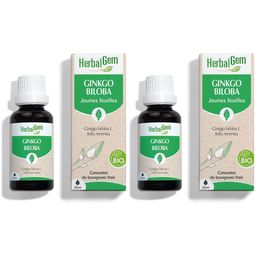 HERBALGEM - Ginkgo Biloba Bio - Complément Alimentaire  - Extrait De Bourgeon Frais - Pour Circulation Sanguine, Mémoire & Concentration - 30 ml