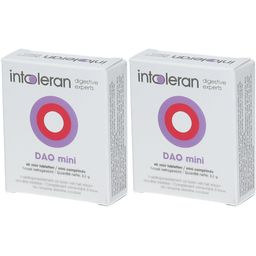 INTOLERAN DAO Mini