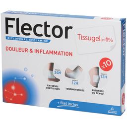 FLECTOR TISSUGEL EP 1 %