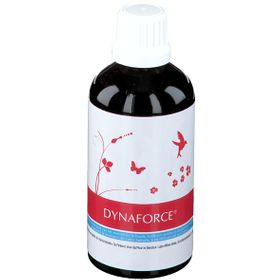 Dynaforce
