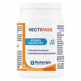 VectiPass