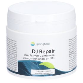 SPRINGFIELD DJ Repair