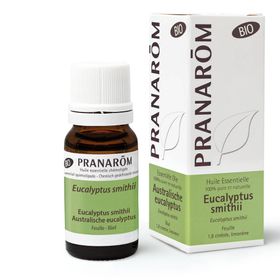 Pranarom Eucalyptus Smithii Bio Huile Essentielle