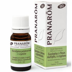 Pranarôm Huile Essentielle Eucalyptus à fleurs multiples, à cryptone Bio