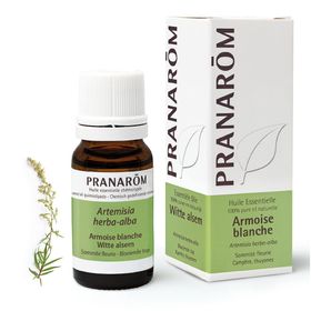 PRANAROM Artemisia Blanc