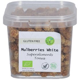 Super Aliments Mûres Blanches Pocket Bio