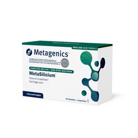 MetaSilicon®