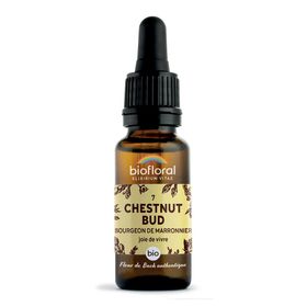 BIOFLORAL 07 - Chestnut Bud - Bourgeons marronnier - 20 ml