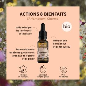 BIOFLORAL 17 - Hornbeam - Charme - 20 ml
