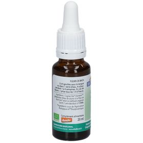 BIOFLORAL 19 - Larch - Mélèze